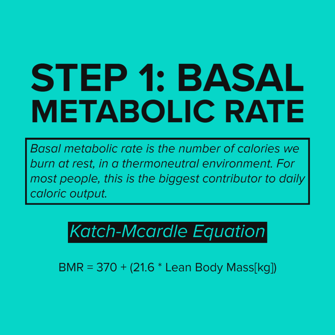 Basal Metaboic rate.jpg